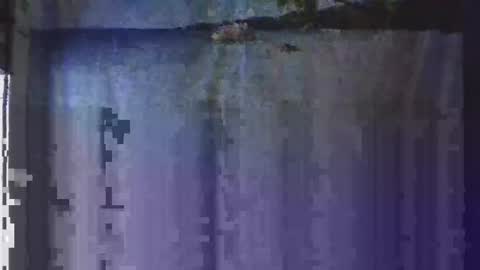 Snapshot of nightgoat666 chatting on 01-13-25, 05:12 OHB Old Horny Bastard online show from 01-13-25, 05:12