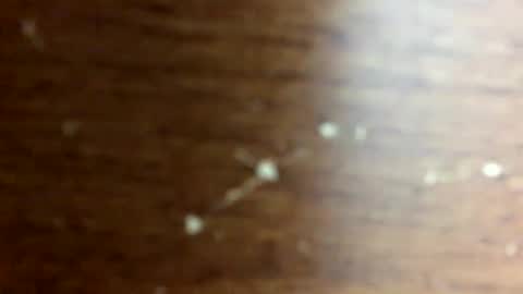 nightmoves1970 online show from 10-14-25, 02:45