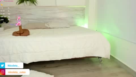 Snapshot of niicoleta chatting on 03-10-25, 08:34 Niicoleta online show from 03-10-25, 08:34
