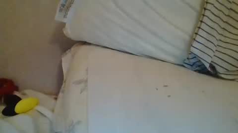 Snapshot of nijinsky11 chatting on 06-11-26, 02:53 Nijinsky11 online show from 06-11-26, 02:53