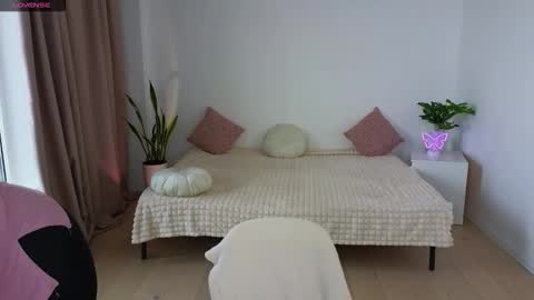 Nika light online show from 11-18-25, 11:14