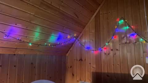 Nick online show from 12-12-24, 08:43