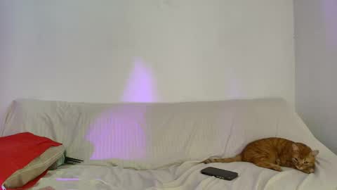 Snapshot of nikki_uwu chatting on 06-02-26, 08:00 nikki_uwu online show from 06-02-26, 08:00