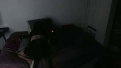 Snapshot of nikkigamer chatting on 11-30-25, 11:47 nikkigamer online show from 11-30-25, 11:47