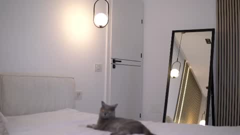 Snapshot of nikkimagic chatting on 07-06-26, 06:43 Nicole online show from 07-06-26, 06:43