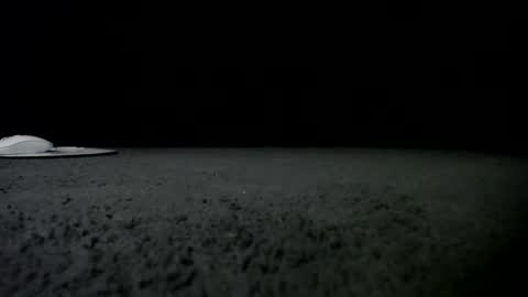 Snapshot of nikkkibabyyyy chatting on 01-24-25, 09:49 Niquita Sparkles online show from 01-24-25, 09:49