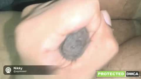 NikkynickGooner online show from 12-16-25, 02:49