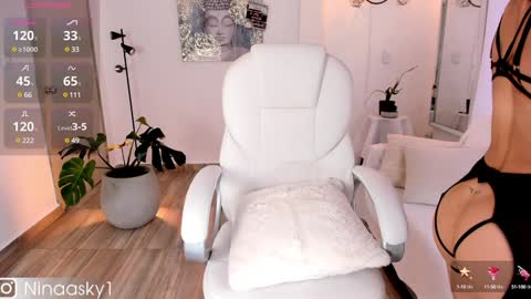 Snapshot of ninaa_sky chatting on 12-12-24, 12:44    online show from 12-12-24, 12:44