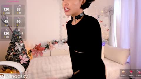 Snapshot of ninaa_sky chatting on 12-26-24, 04:25    online show from 12-26-24, 04:25