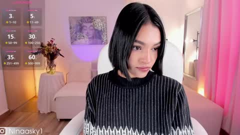 Snapshot of ninaa_sky chatting on 01-22-25, 01:53    online show from 01-22-25, 01:53
