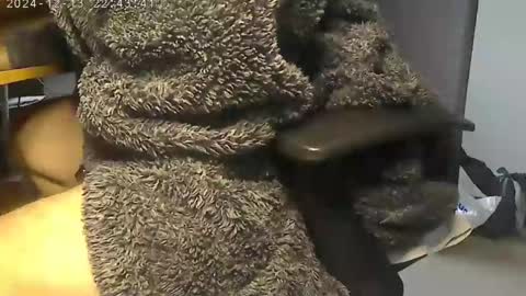 nineinchhard online show from 12-12-24, 09:19