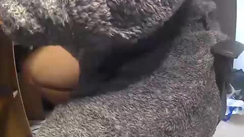 nineinchhard online show from 12-18-24, 10:19