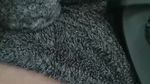 nineinchhard online show from 04-09-26, 09:15