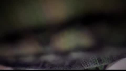 Tears Lora online show from 02-25-25, 05:08