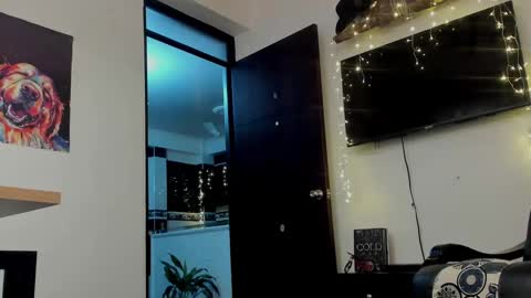Snapshot of noahbrawn chatting on 12-29-24, 12:01 LIAM- noah online show from 12-29-24, 12:01