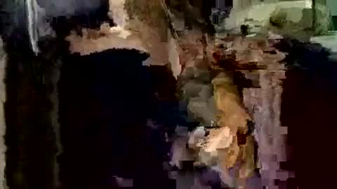 nocturnus1980 online show from 12-01-25, 04:06