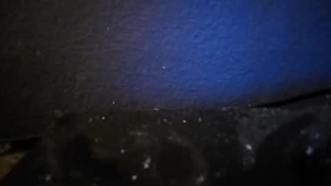 Snapshot of nocycle000 chatting on 09-14-25, 06:51 Nocycle000 online show from 09-14-25, 06:51