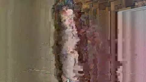 Snapshot of noodsovernudes chatting on 05-26-26, 02:46 NoodsOverNudes online show from 05-26-26, 02:46