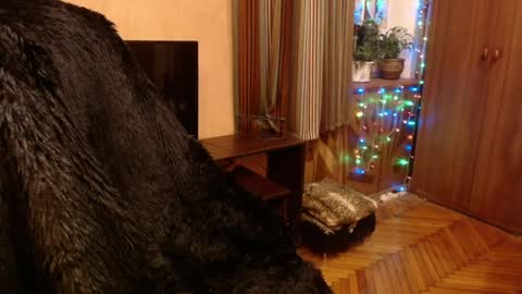 Snapshot of norma_gin chatting on 12-28-24, 09:19 miss Tress online show from 12-28-24, 09:19