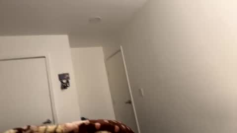 se le perdio algo perra hp online show from 12-06-24, 08:15