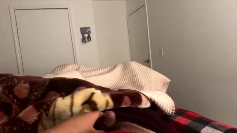 se le perdio algo perra hp online show from 02-24-25, 08:06