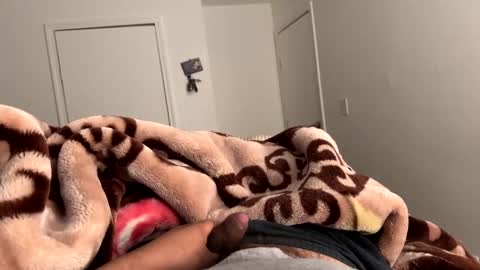 se le perdio algo perra hp online show from 03-07-25, 08:13