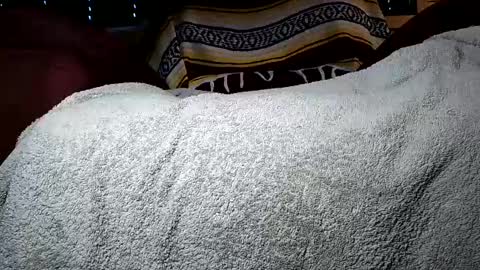 nottoobored online show from 07-14-26, 02:05