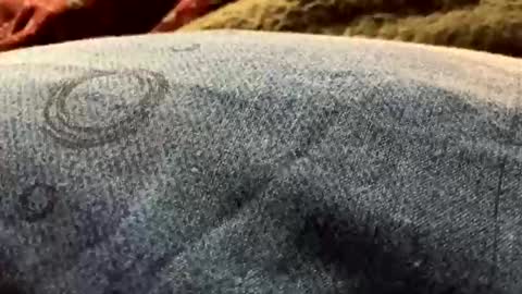 DarqLight online show from 12-19-24, 06:01