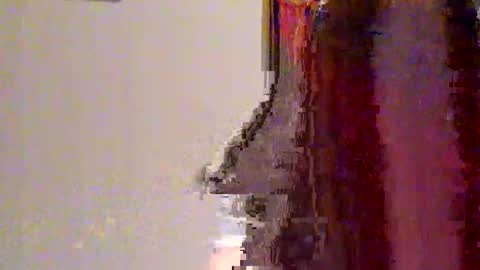 novahexx online show from 04-13-26, 01:22