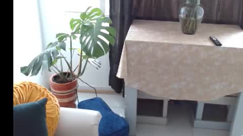 Snapshot of novaperotti chatting on 11-05-25, 06:41 novaperotti online show from 11-05-25, 06:41