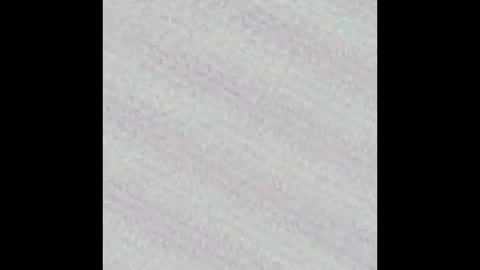 Novinhoo online show from 03-09-26, 02:26