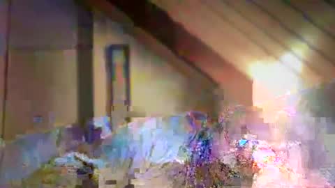 Snapshot of nurod chatting on 12-29-24, 04:40 nurod online show from 12-29-24, 04:40