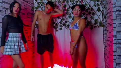 Powerfull tree69 online show from 02-01-25, 02:37