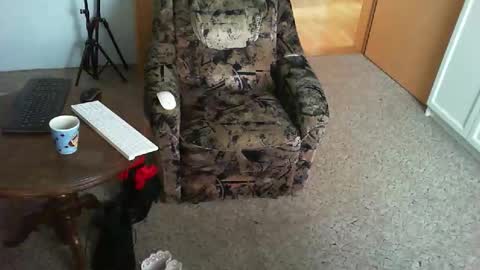 Strumpfhose online show from 11-29-25, 09:01