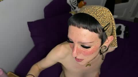 Nymphaea online show from 06-12-26, 11:35