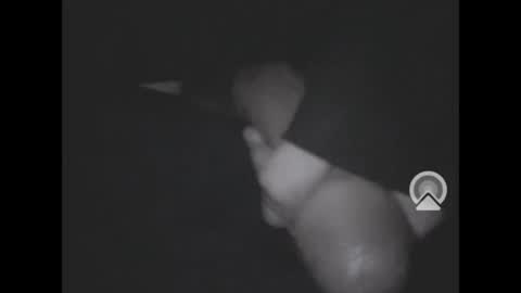 nympham online show from 04-04-26, 07:06