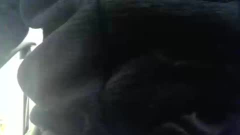 Snapshot of obahiro823844 chatting on 12-17-25, 12:55 obahiro823844 online show from 12-17-25, 12:55