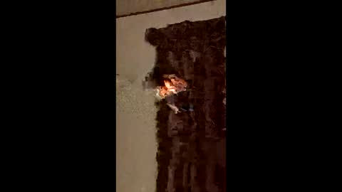 ocnyrmvntufr online show from 06-07-26, 04:49