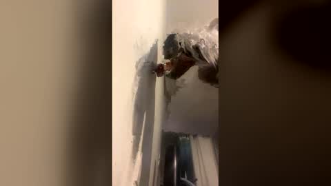 Kira online show from 12-14-25, 09:03