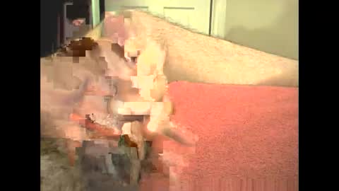 Snapshot of odinsslave chatting on 02-28-26, 03:46 odinswarrior online show from 02-28-26, 03:46