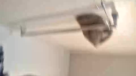 odz9ind online show from 02-05-26, 07:29