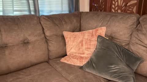 Tams online show from 09-09-25, 03:11