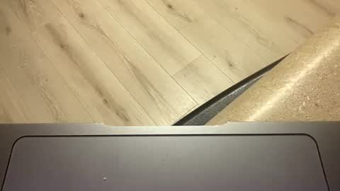 ofthatguy online show from 10-24-25, 02:30