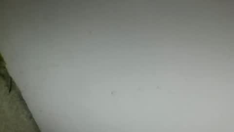 oggi95 online show from 06-17-26, 05:58