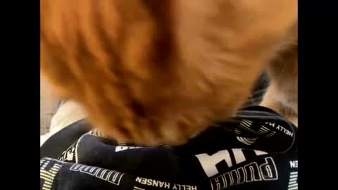 Snapshot of oggs48 chatting on 10-21-25, 11:22 oggs48 online show from 10-21-25, 11:22