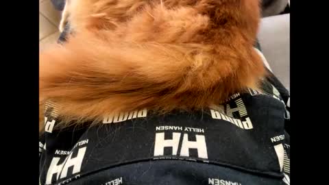 Snapshot of oggs48 chatting on 11-01-25, 01:46 oggs48 online show from 11-01-25, 01:46