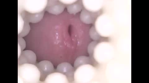 ohioguy4201985 online show from 04-17-26, 10:24