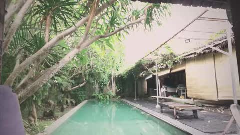 Mo online show from 11-18-25, 01:55