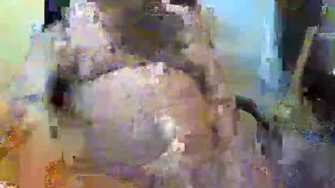 William online show from 11-02-25, 05:26