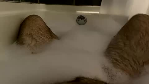 Snapshot of oldbones2 chatting on 12-08-24, 02:07 oldbones2 online show from 12-08-24, 02:07